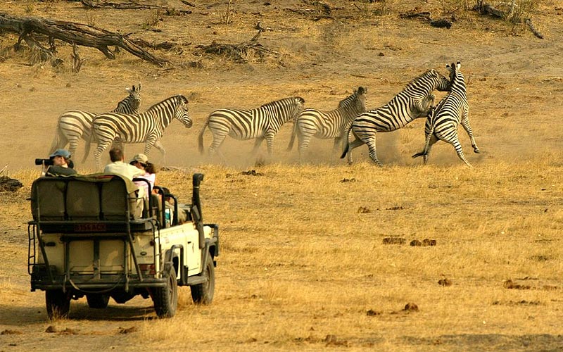 Tanzania Safari Map time to experience